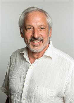 Alex Stein